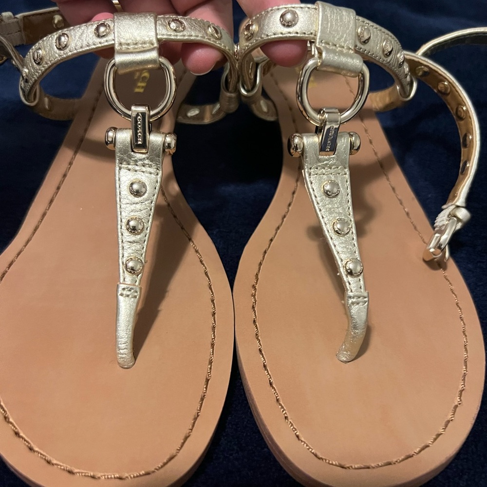 Coach sandals. Brand new without tag. Never worn
